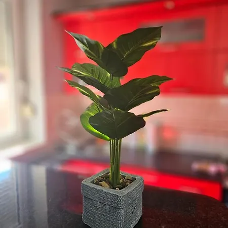 Apartman Anastasija